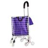 Folding Shopping Cart & Hand Trolley