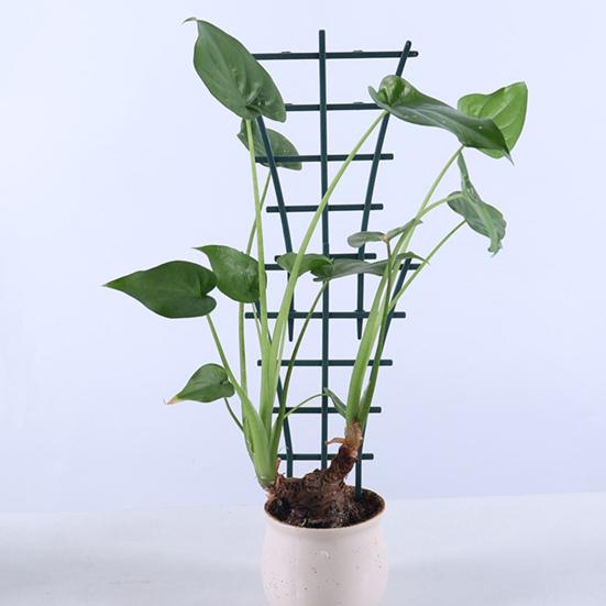 Plant Climbing Frame Stackable Support Trellis Planter Insert Houseplant Trellis for Potted Ivy Roses Cucumbers Home Indoor Outdoor Gardening