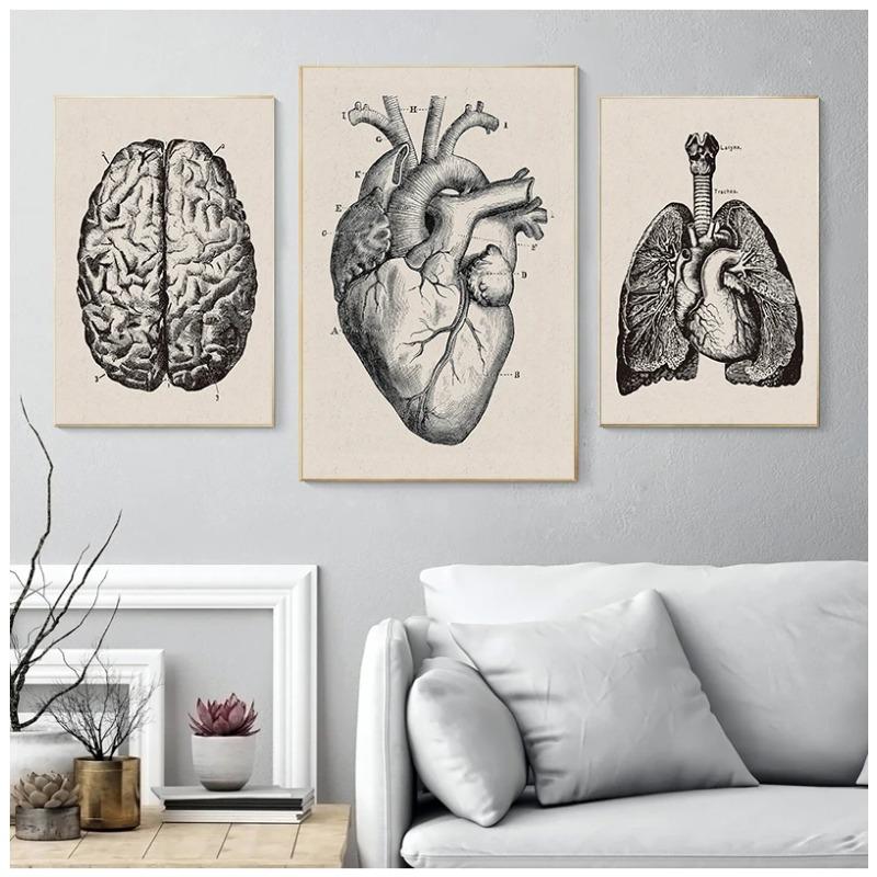 Human Anatomy Wall Art Hospital Vintage Posters and Prints Doctor Office Decoration Skeleton Anatomical Skull Canvas Painting