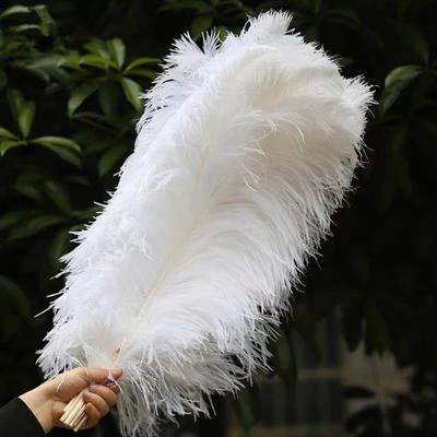10 ks Elegantní pštrosí peří Bílé nadýchané peříčko pro svatební hostinu Domácí dekorace do pokoje DIY 30-35cm