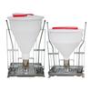 Automatic Dry-Wet Pig Feeder for Fattening Sows and Large Pigs - Free-Choice Design