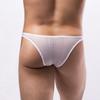 Breathable Underwear Bulge Pouch G-String Men Sexy Underpants Gay See Through Mesh Hole Panties Low Rise Bikini Trunks Lingerie