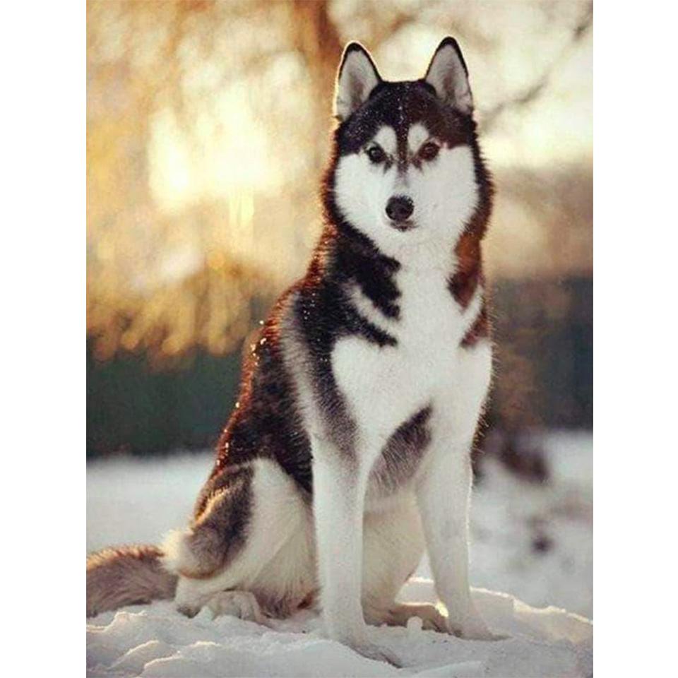 5D DIY Diamond Painting Animal Husky Picture Full Diamond Embroidery Rhinestone Mosaic Cross Stitch Kit Furniture Decoration
