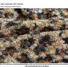 NS American Retro Leopard Print Velvet Bodycon Mini Skirt: Winter Slim Fit for Women
