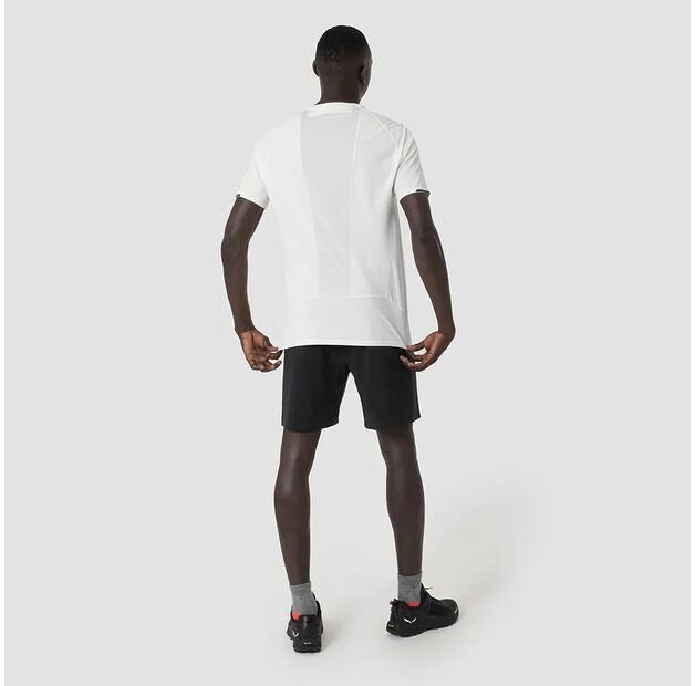 Salewa Pedroc 2 DST Shorts