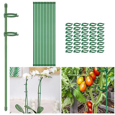 10Pcs Plastic Plant Supports Stakes Flower Stand Sticks Reusable Garden Fixing Tool For Indoor Vegetable Holder Bracket 30cm