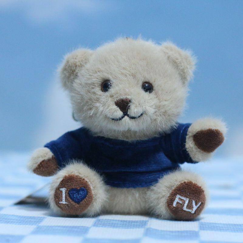 Cute Plush Teddy Bear Keychain Fluffy Cartoon Animal Doll Soft And Huggable Design