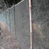 Bird Proof Net, Garden Fence And Crop Protection Fence Net, Bird Proof Deer Cat Dog Chicken