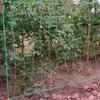 1 Stück Garten Kletternetz Starkes Nylon Pflanzen Rankgitter Stützhalter für Luffa Prunkwinden Gurken Weinreben Pflanzen