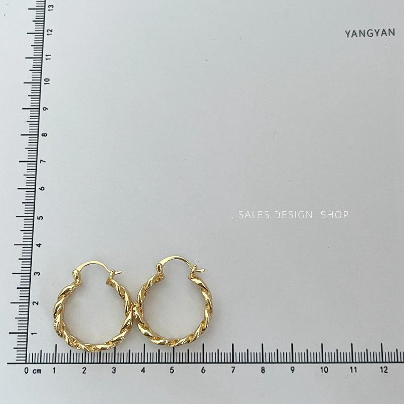 Elegante Micro-Pavé Creolen - Leichter Luxus Mode für Damen