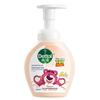 Dettol & Lotso Foaming Antibacterial Hand Wash