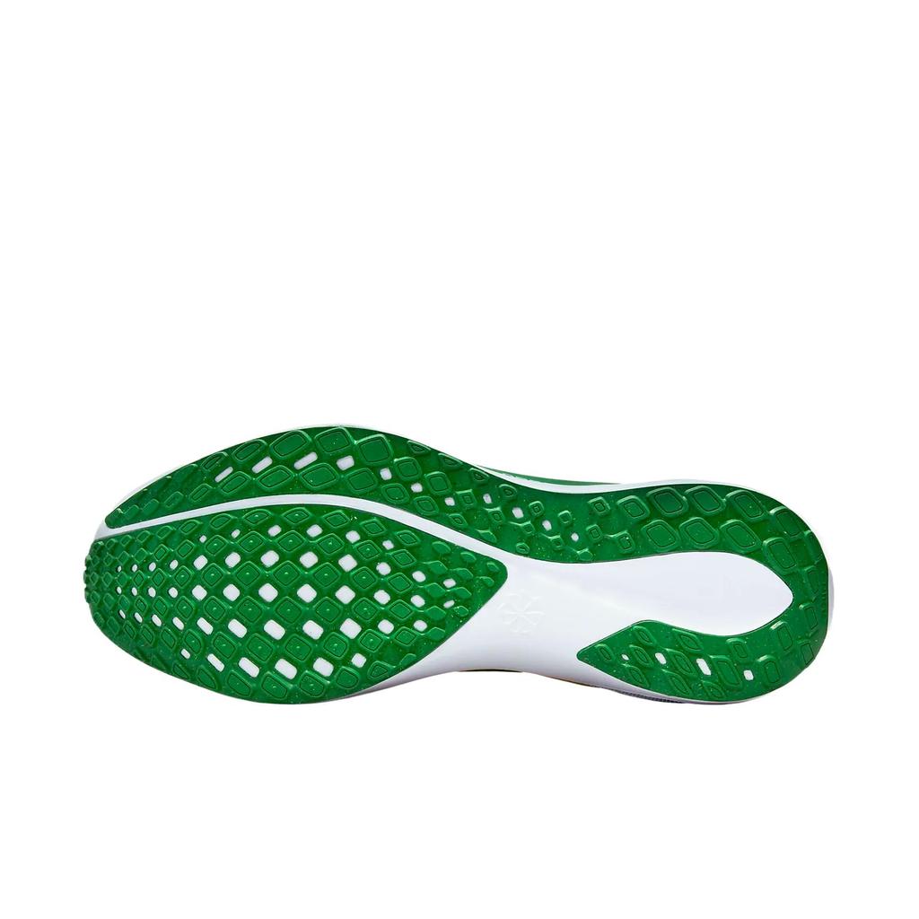 Nike Air Zoom Pegasus 41 Oregon 2024 Men Sneakers Green Apple-Green White FZ5138-300