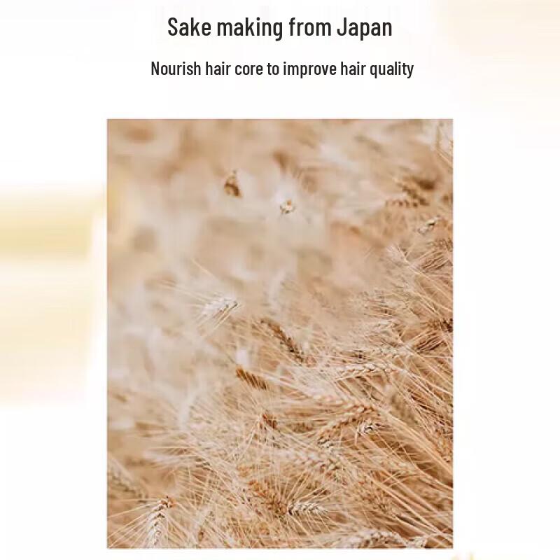 Light Fragrance Amino Acid Rice Ferment Shampoo