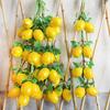4Pcs Artificial Fruit Vegetable Garland Wall Hanging Fake Banana Strawberry Pumpkin Tomato Cucumber Chili String Farmhouse Kitchen Decoration
