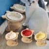Wooden Stand Cat Ceramic Bowl Non-Slip Cat Water Bowl Anti Vomiting Bowl  Pet Supplies