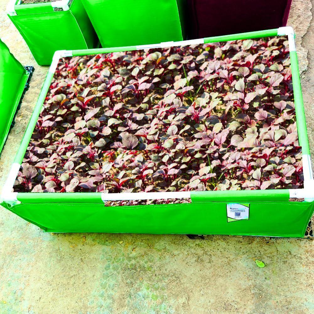 Rectangle Grow Bag with Supporting PVC Pipes for Home & Terrace Garden | Premium HDPE 350 GSM Raised Bed Plant Bag Planter (Pack of 1)