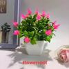 Flowers Eighteen Simulated Daisy Pine Cone Artificial Green Plant Potted Plant
