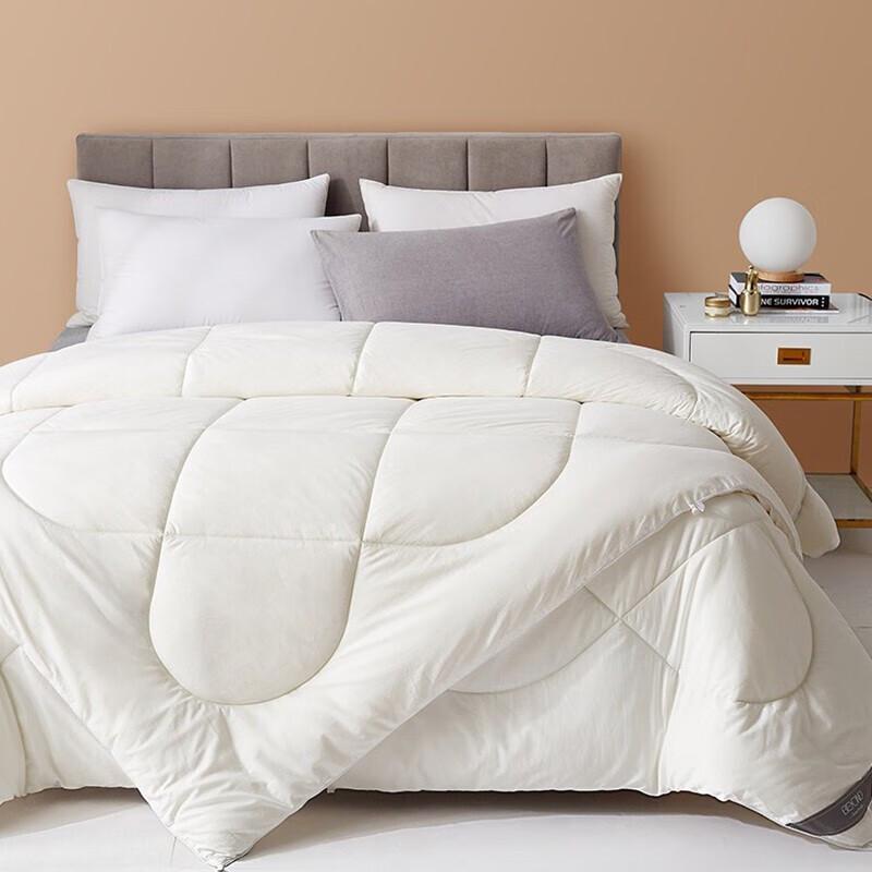 

Beyond Home Textile Elegant Soybean Fiber Winter Quilt