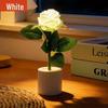 Grenzüberschreitende LED-Rosen-Nachtlicht - Valentinstagsgeschenk Blumentopf-Lampe für Atmosphäre und Kreativität