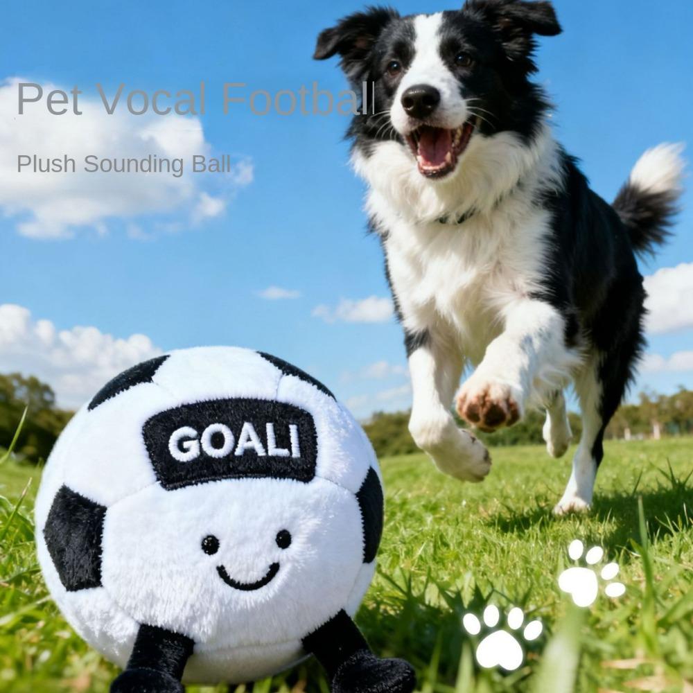 Pet Football Toy Simulation Voice Molar Tooth Cleaning Dog Chew Supplier OEM ODM Customizable