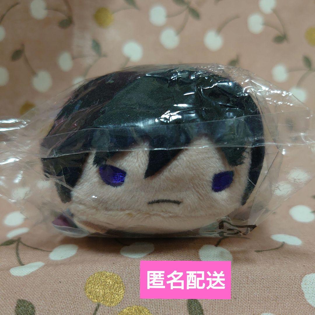 

[USED] Demon Slayer: Kimetsu no Yaiba Character: Giyuu