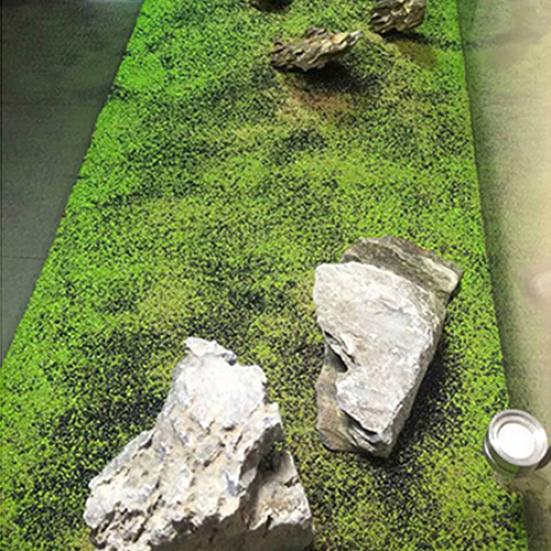Voorgrondplanten voor aquarium – Creëer een natuurlijk tapijt
