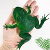 Children's Frog Squeeze Toy - Creative Sounding Animal Model, Prank Gift