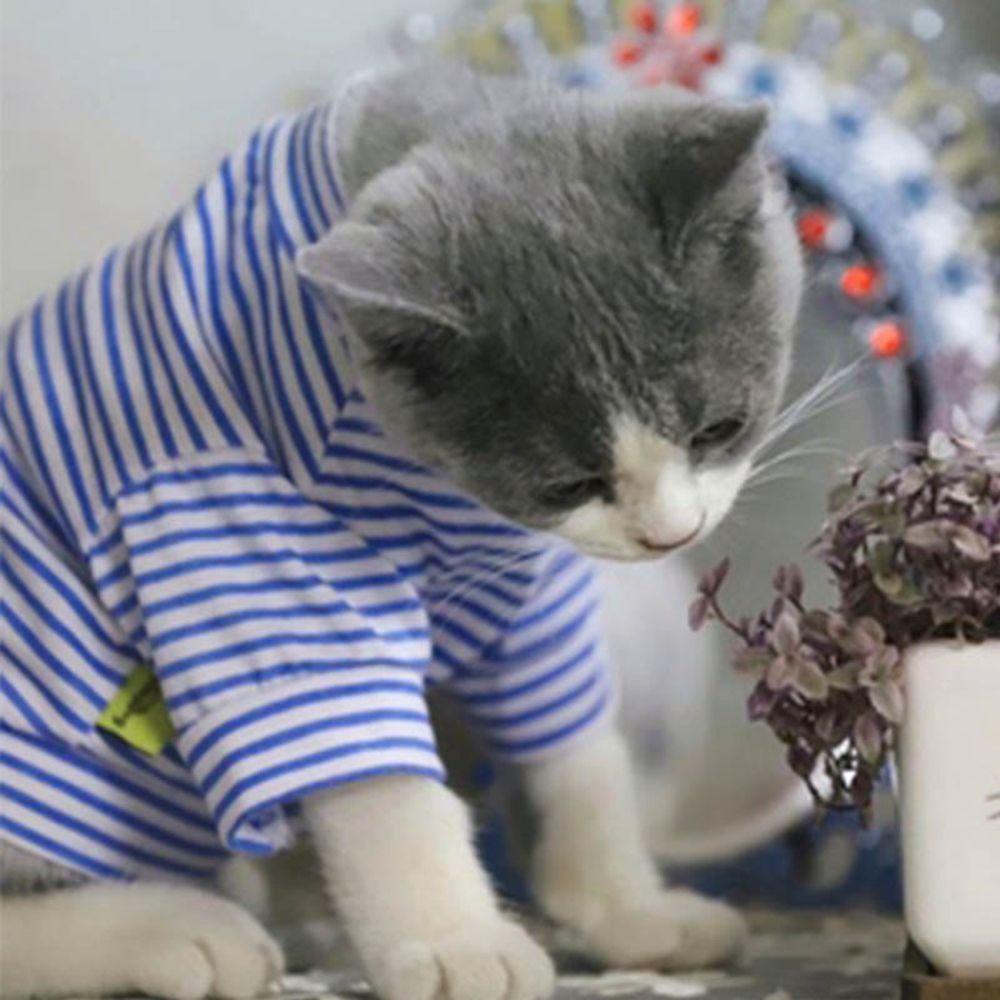 Costumes Puppy Outfit Shirts for Small Cats Dogs Cat Jacket Dog Supplies Pet Clothing Dog  Clothes