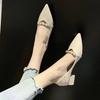 Fairy Style Four-season Shoes Summer High Heels Mid-heel Pointed Thick Heel with Skirt Low-top Single Shoes
