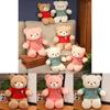 Teddy Bear Plush Doll Wearing Sweater Desigfor Gift And Collectors