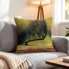 Artist Zdzislaw Beksinski Cushion Cover 1Pcs Decorative Covers Soft Cushion Case For Sofa Couch Decor 40X40 45X45 Pillowcases
