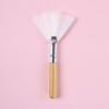 Multi-Purpose Beauty Brush Set: Fan, Highlighter, Blush, Powder, Spa, Fruit Acid, DIY Mask, Single Makeup Brush