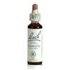 Fleurs De Bach N°09 Clematis - Clematite 20ml
