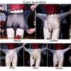 Mens Sissy Pouch Panties Ultra-Thin Sheer Briefs Lace Gay Underwear Erotic Lingeries Sexy Hot Invisible See Through Underpants