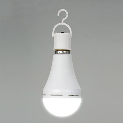 Multifunctionele oplaadbare 12W nood-LED-lampen, felle buitenhanglampen