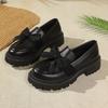 Spring Autumn Women's Shoes - Thick Heels and Thick Soles - Retro Single Shoes