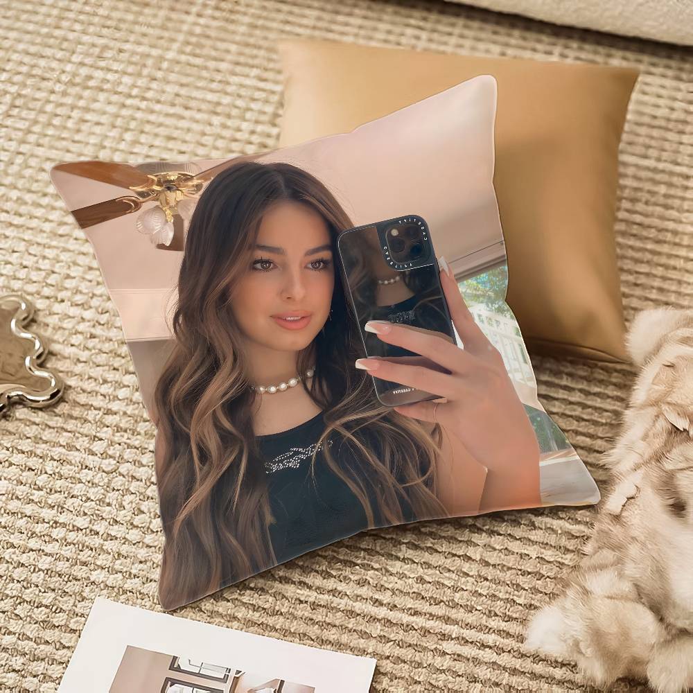 

A-Эддисон Рэй E-Истерлинг РЭПЕР Наволочка Антипылевой клещ Невидимая молния Диван-кровать 12x12Inch