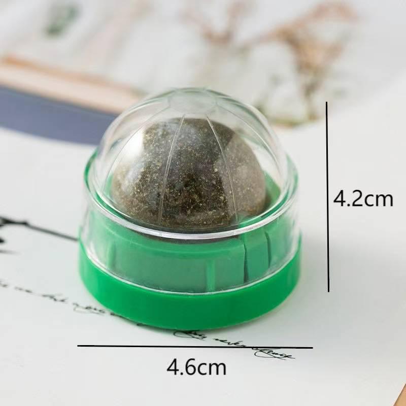 Rotatable Self-Adhesive Catnip Ball Toy: Anti-Lost Chew & Grind Cat Grass Stick