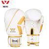 Jiurishan Boxing Gloves & Training Sets