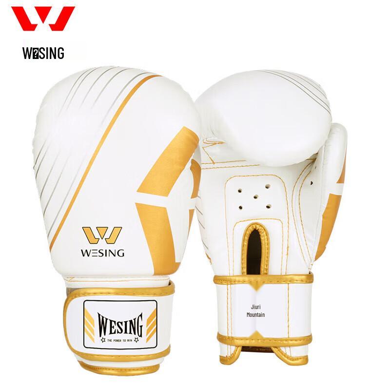 Jiurishan Boxing Gloves & Training Sets