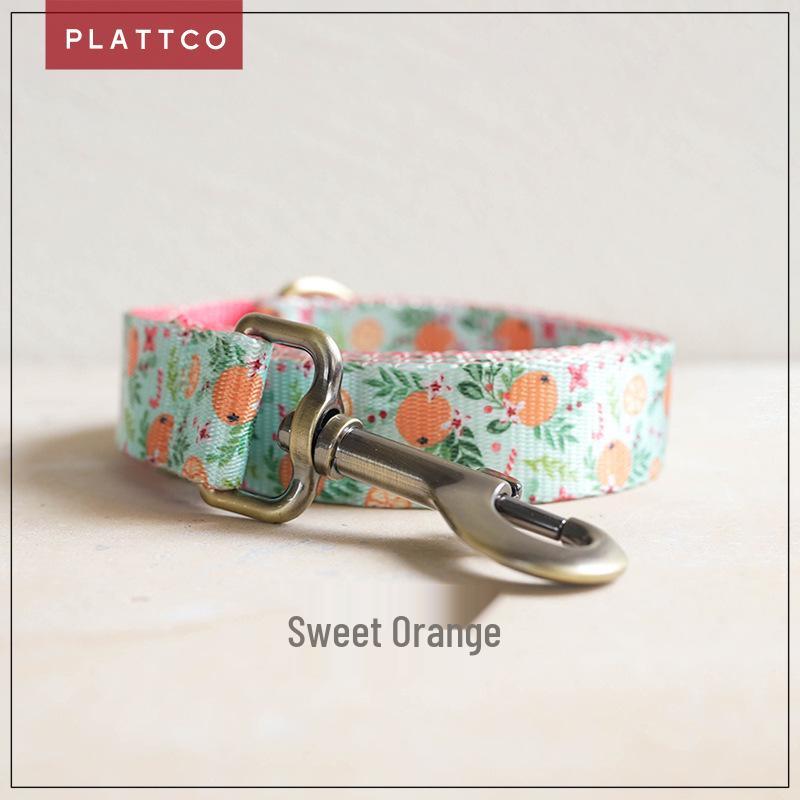 PLATTCO Printed Nylon Pet Leash - PDL366 XL 2.5cm x 120cm