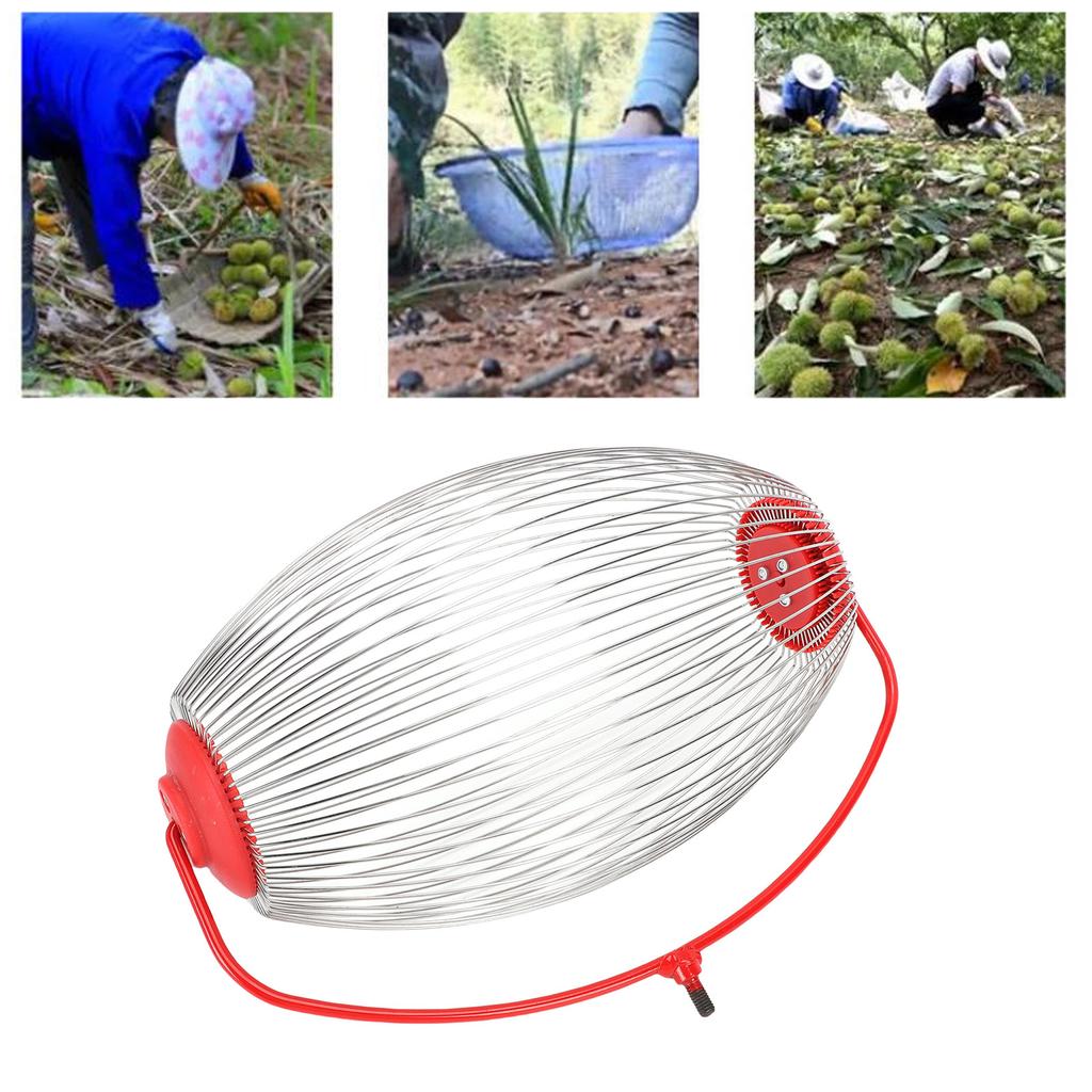 Nut Gatherer Stainless Steel   Collector Picker Upper Roller Fruit Picker for Toy   Acorns Pecans