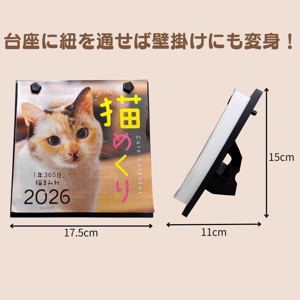 Cat Calendar 2026 Daily Calendar CK-C26-01