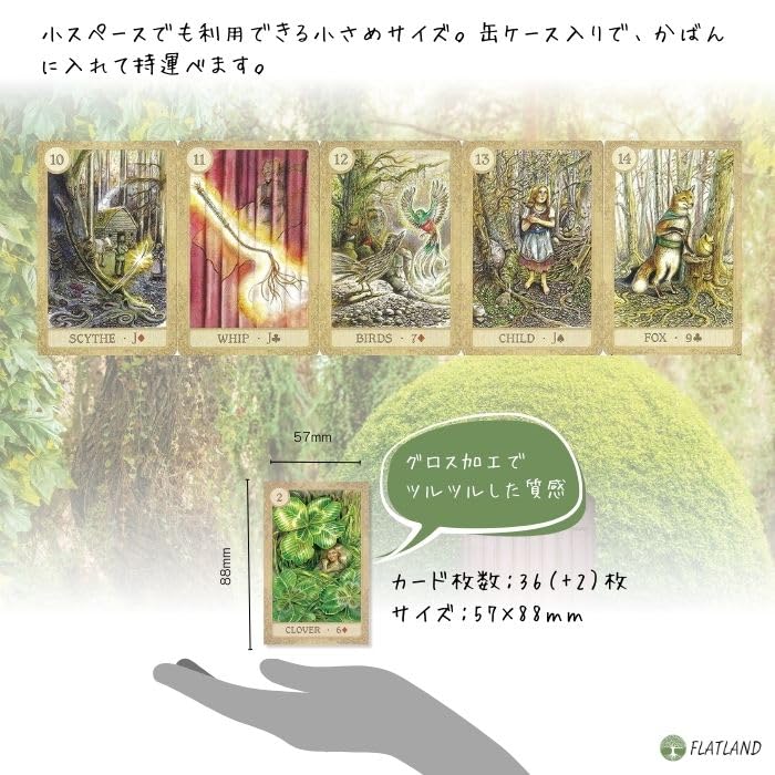 In a Tin Fairy Tale Lenormand Lenormand Cards with Japanese Instruction FLATLAND Authentic [Presented Case] Booklet. Product.