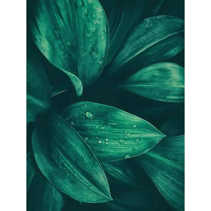 Bohemian Watercolor Tropical Plant Canvas Painting Monstera Banana Leaf Eucalyptus and Fern Art Posters Aesthetic Bedroom Decor