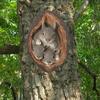 Garden Squirrel Tree Hugger Outdoor Tree Hole Statues Tree Face Decoration