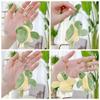 Cartoon Turtle Turtle Plush Keychains PP cotton Turtle Plush Keyring  Kids Toys