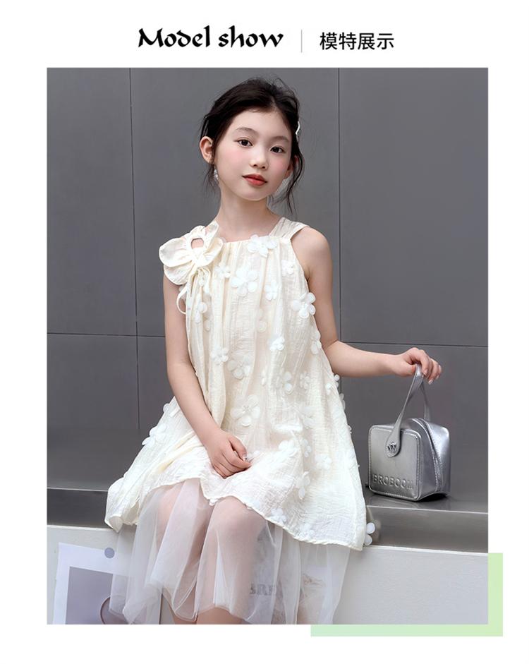 New Summer Dress for Girls with a Rich Family and a Sense of Beauty, Princess Dress, Summer Dress, Children's Dress