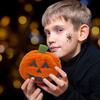 Pumpkin Halloween Fabric Pumpkin Teddy Velvet Multicolor Festival Pumpkin Decoration