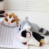 Husky Raccoon Doll Clip Border Collie Deer Plush Doll Kawaii Panda Plush Toy  Kids Gifts